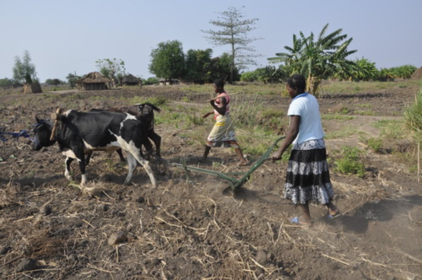 <p>level of farming in which a person raises only enough food to feed his or her family</p>