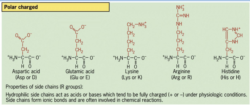 <p>form ionic bonds</p>