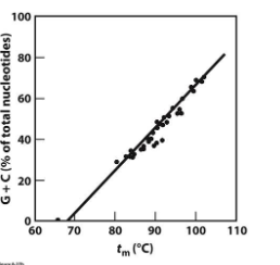 <p>what does this straight line mean?</p>