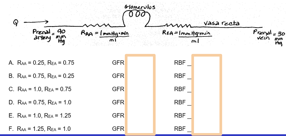 renal blood flow

glomerulus flow rate