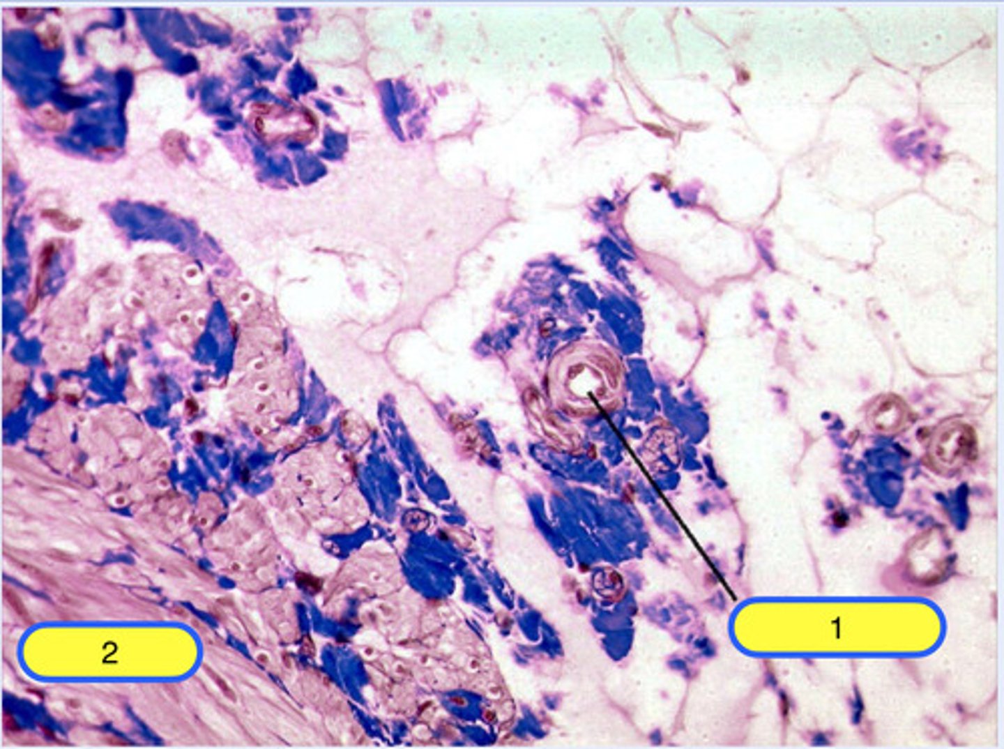 <p>2</p>