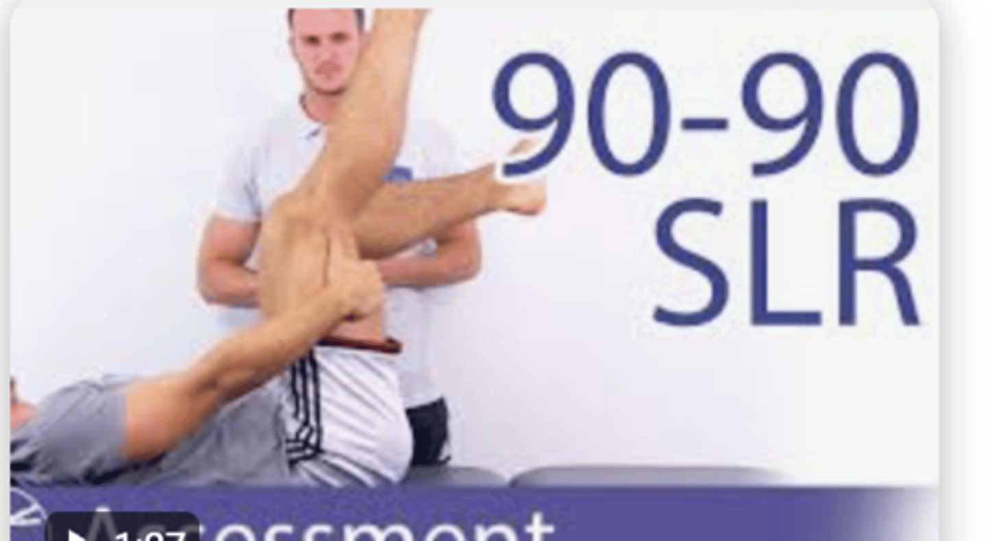 <p>Hamstring Length</p>