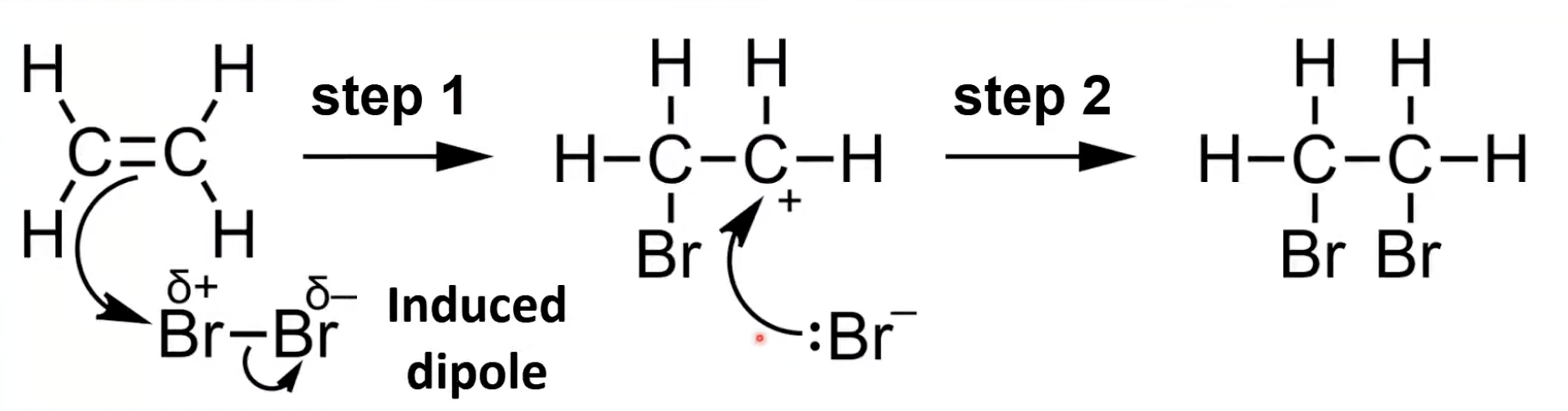 <p>Br₂ becomes polar near C=C; Br bonds to one carbon forming a carbocation</p><p>Br⁻ attacks carbocation forming 1,2-dibromoethane.</p>