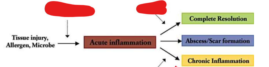 <p>Fill out this chart</p>