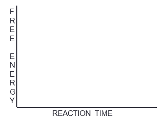 <p>Ch.6 - How would you draw a graph representation of an exergonic reaction?&nbsp; Label the energy level of the reactants and the products, the Energy of Activation (E<sub>A)</sub>, and the transition state (TS).</p>