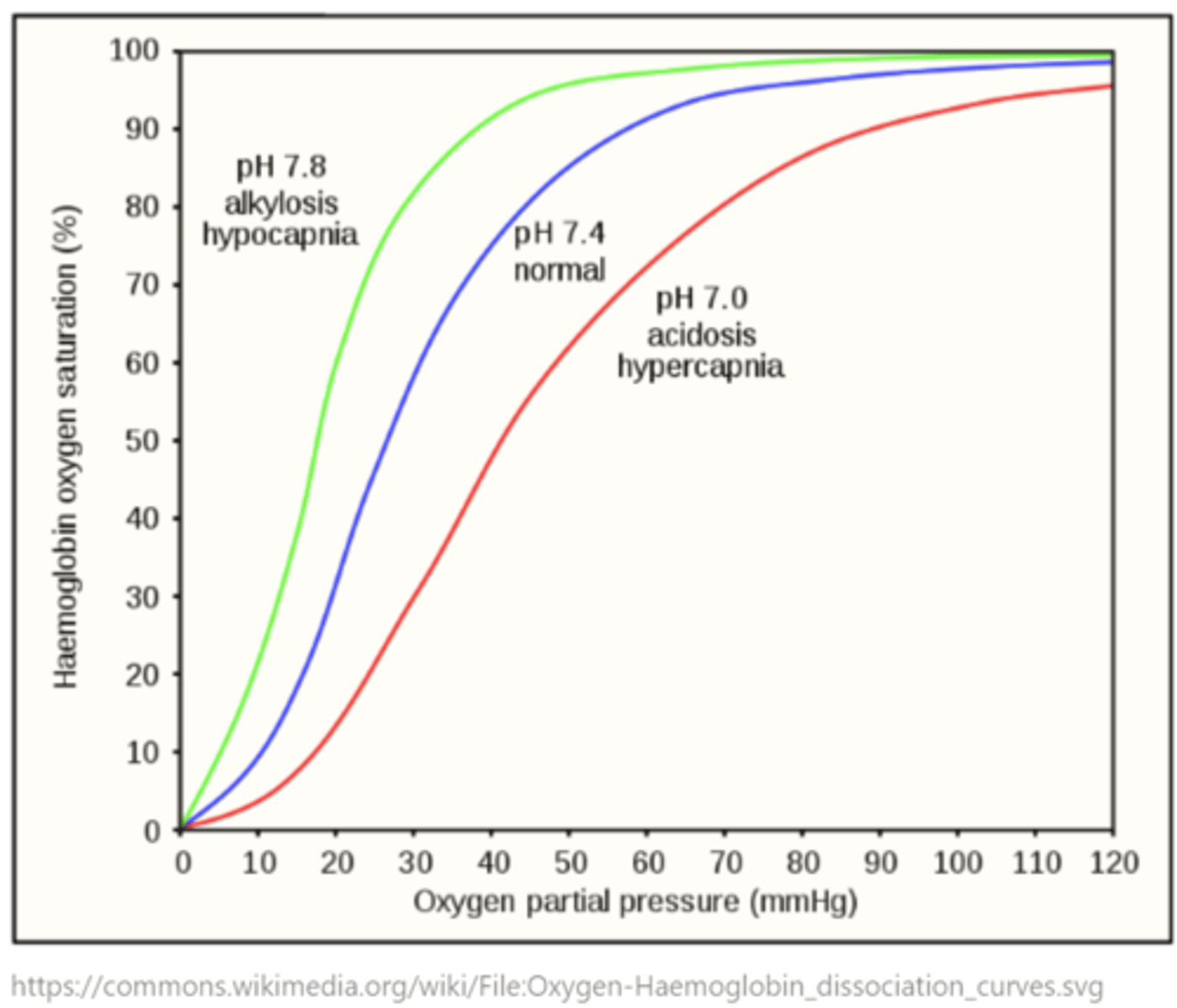 <p>oxygen dissociation curve</p>