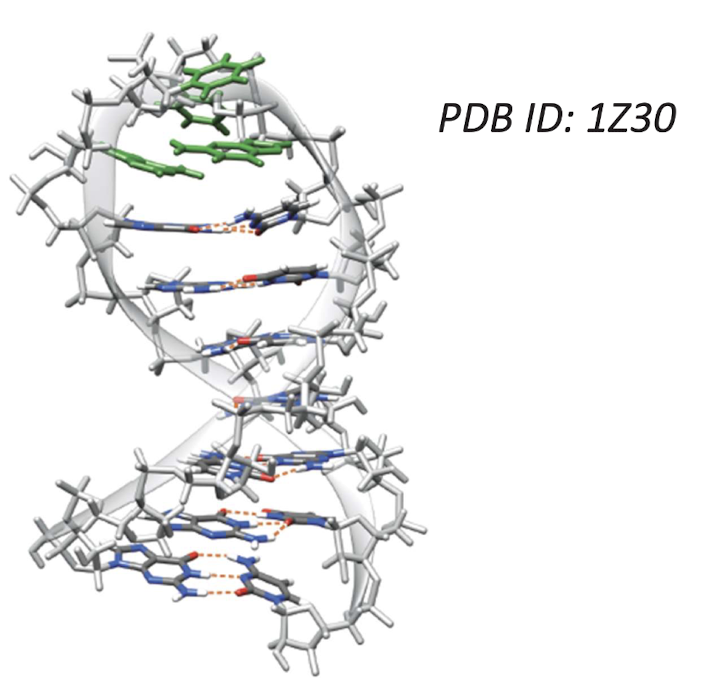 <p>Stem-loop (hairpin) structure allows formation of double helix from single strand&nbsp;</p><p>bases in loop are stacked on end of helix</p>