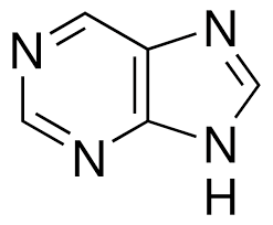 <p>adenine</p><p>guanine</p>