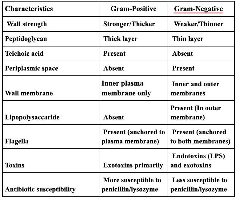 <p><span style="background-color: transparent; font-family: "Times New Roman", serif;"><span> has a thick layer of peptidoglycan and contains teichoic and lipoteichoic acids</span></span></p>
