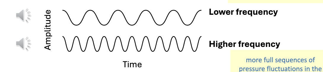 <p>lower: fewer full sequences of pressure fluctuations in the same amount of time</p><p>Higher: more full sequences of pressure fluctuations in the same amount of time</p>