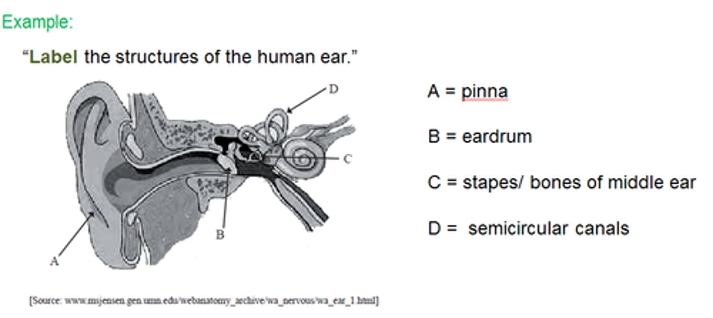 <p>Add labels to a diagram</p>