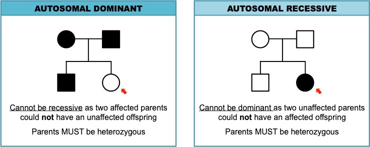 Recessive

* If both parents do not have the disorder, but some of the children do
* The disease can skip generations  

Dominant  

* If both parents have the disorder, and one of the offspring does not have it  
* The disease is present in every generation, because if a child has the disease, one of the parents must have it also