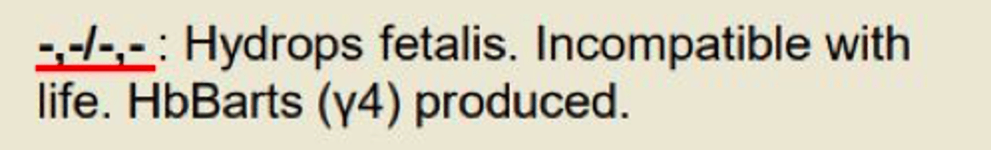 <p>All 4 genes missing</p><p>- Hydrops fetalis </p><p>- Incompatible with life </p>