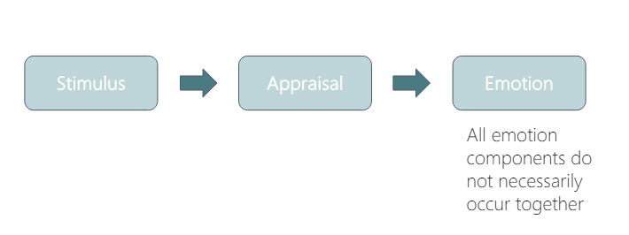 <ul><li><p>stimuli elicit appraisals which inform emotions</p></li><li><p>Emotion components don’t all necessarily occur together, i.e. appraisals and emotions might be more focused on specific aspects of the emotional experience and whether certain appraisals lead to certain components of emotion</p><ul><li><p>E.g. whether appraising things in a certain way changes facial expressions</p></li><li><p>You can have the physiology of fear and the subjective feeling of fear without the expression of fear, for example</p></li></ul></li></ul>