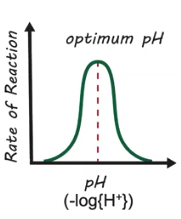 <p>Optimum pH</p>