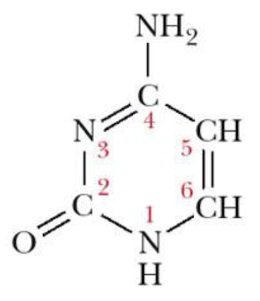 <p>Name that structure.</p>