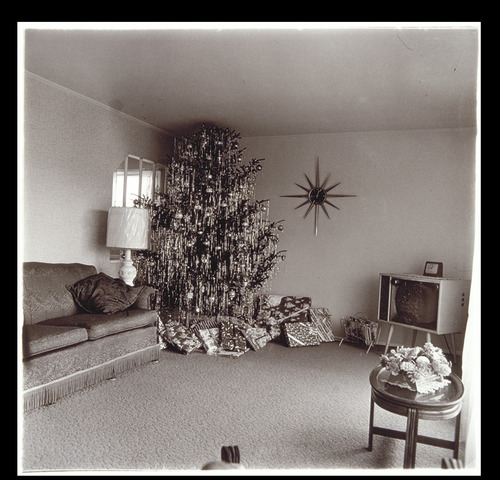<p>Christmas Tree in a Living Room, Levittown, New York</p>