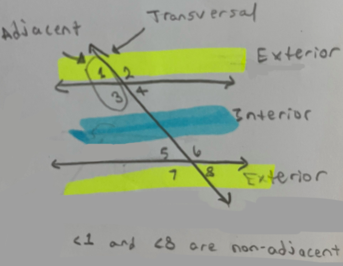 <p>A line that intersects another line or a group of lines (cuts through)</p>