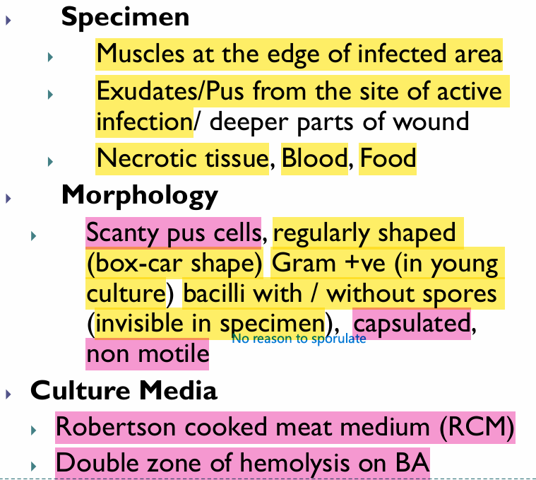 <p>Very very important to note the Double Zone of Hemolysis on BA</p><p>Nagler reaction → Look for alpha-toxin </p>