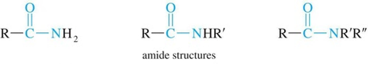 <p>Compounds with a carbonyl group bonded to nitrogen.</p>