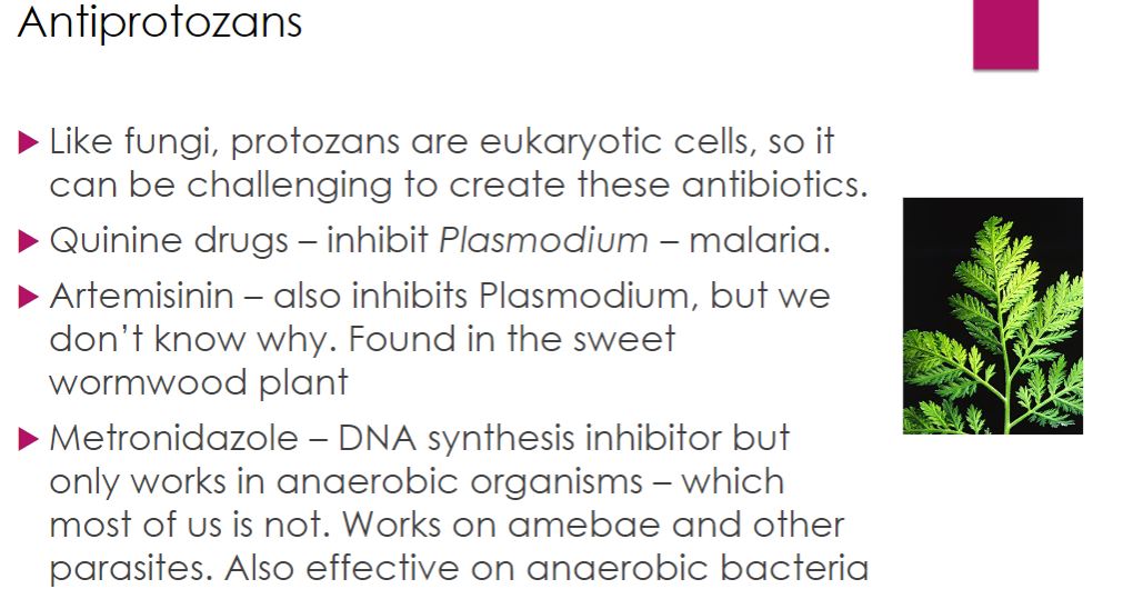 <p>Antiprotozoan</p>