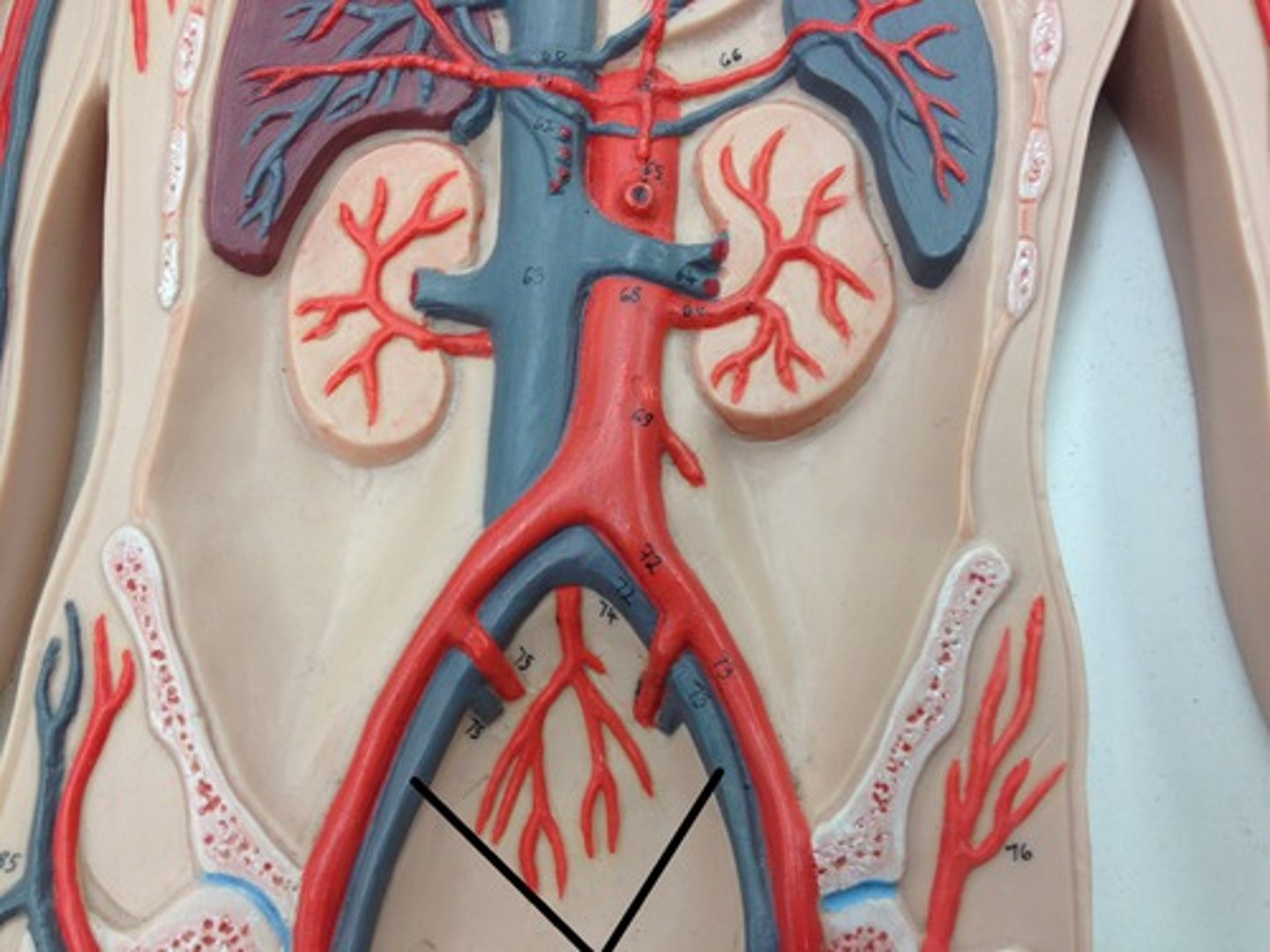 <p>What structure?</p>