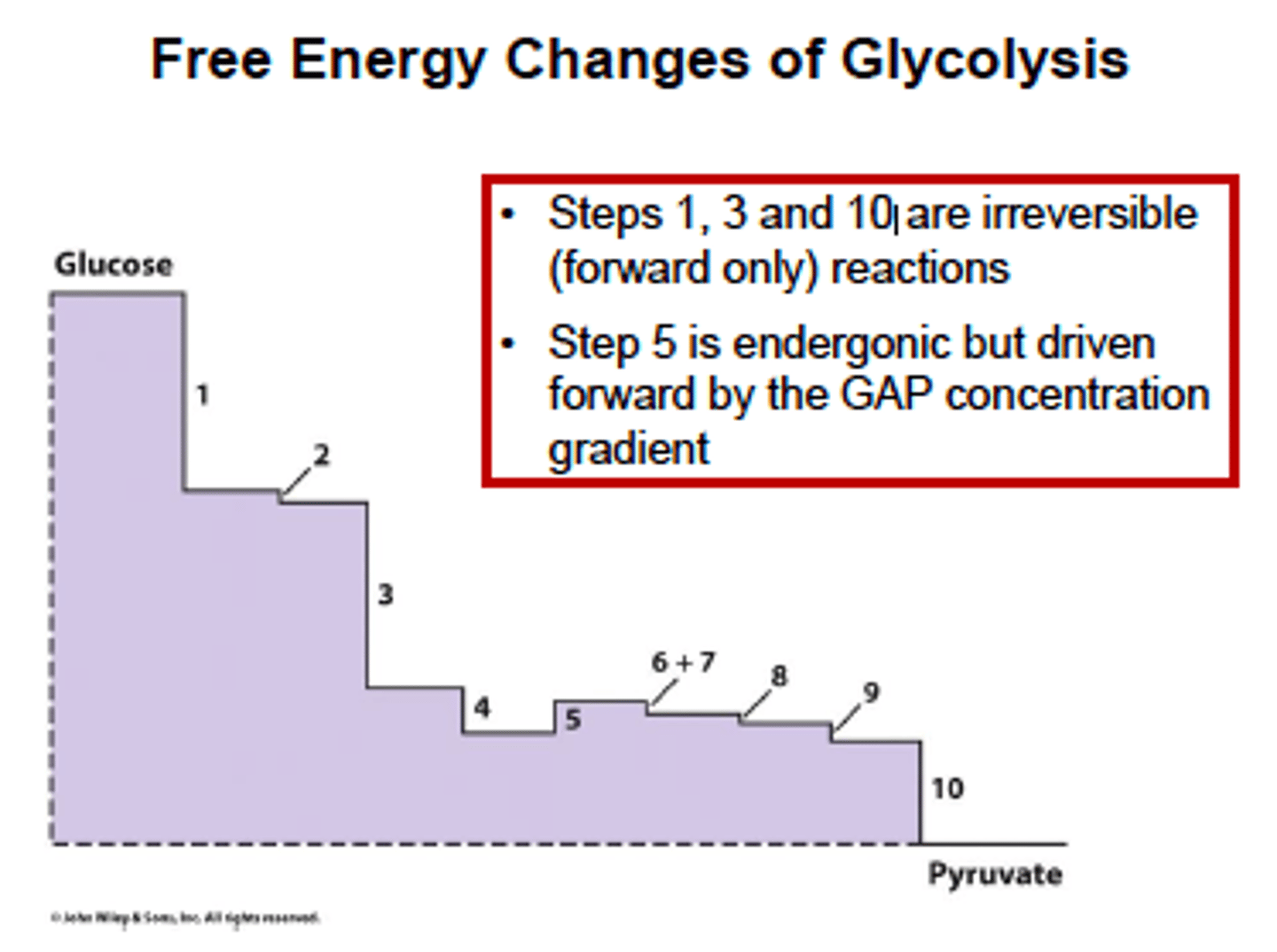 <p>step 5 is glyceraldehyde-3-phosphate dehydrogenase</p>