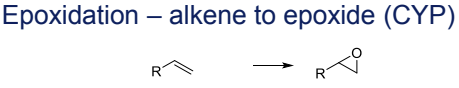 <p>Epoxidation to epoxides, catalyzed by CYP</p><p>—</p><p class="ds-markdown-paragraph">The alkene (C=C) binds near CYP450’s heme iron (Fe³⁺). NADPH reduces Fe³⁺ to Fe²⁺, enabling O₂ binding → forms Fe³⁺–O₂⁻ (peroxo intermediate). Protonation cleaves O–O bond, generating Fe⁴⁺=O (Compound I). Compound I transfers an oxygen atom to the alkene’s π-bond, forming the epoxide ring. No radical intermediate (unlike aliphatic hydroxylation)</p><p class="ds-markdown-paragraph"></p><p></p>
