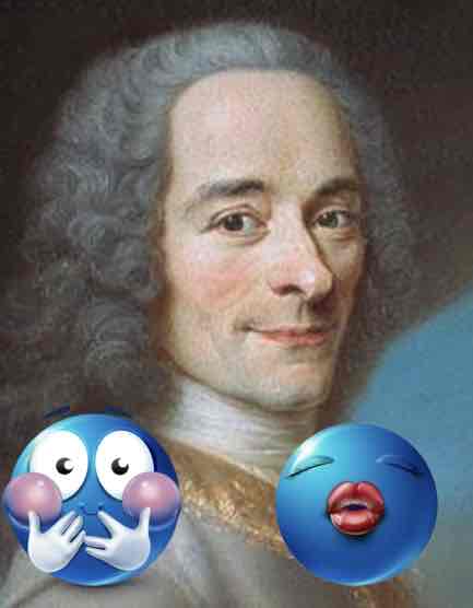 <p>voltaire</p>