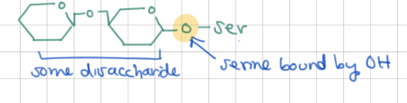 <p>serine, threonine, hydroxylysine</p>