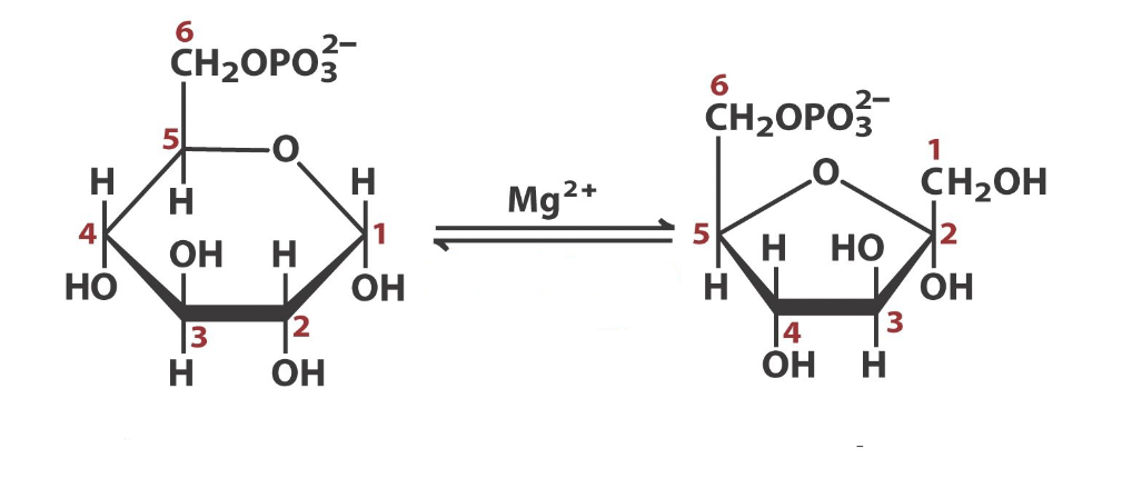 <p>what step in glycolysis, what react/prod</p>