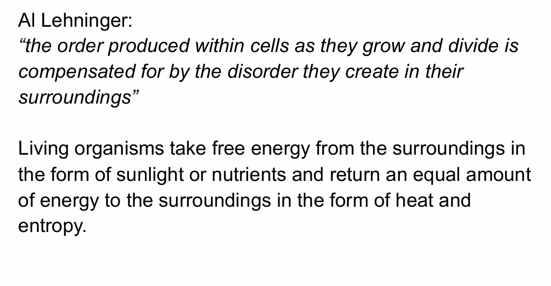 <p>How does this slide conceptually connect metabolism with evolution of complexity?</p>