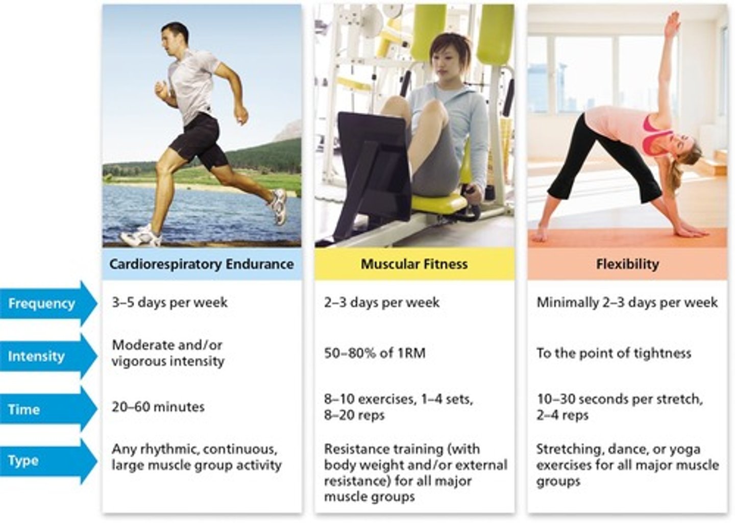 <p>Cardiorespiratory Endurance, Muscular Strength, Muscular Endurance, Flexibility, Body Composition.</p>