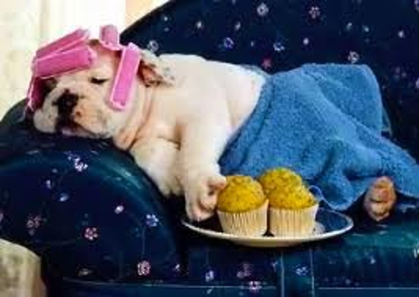 <p>spoiled</p>