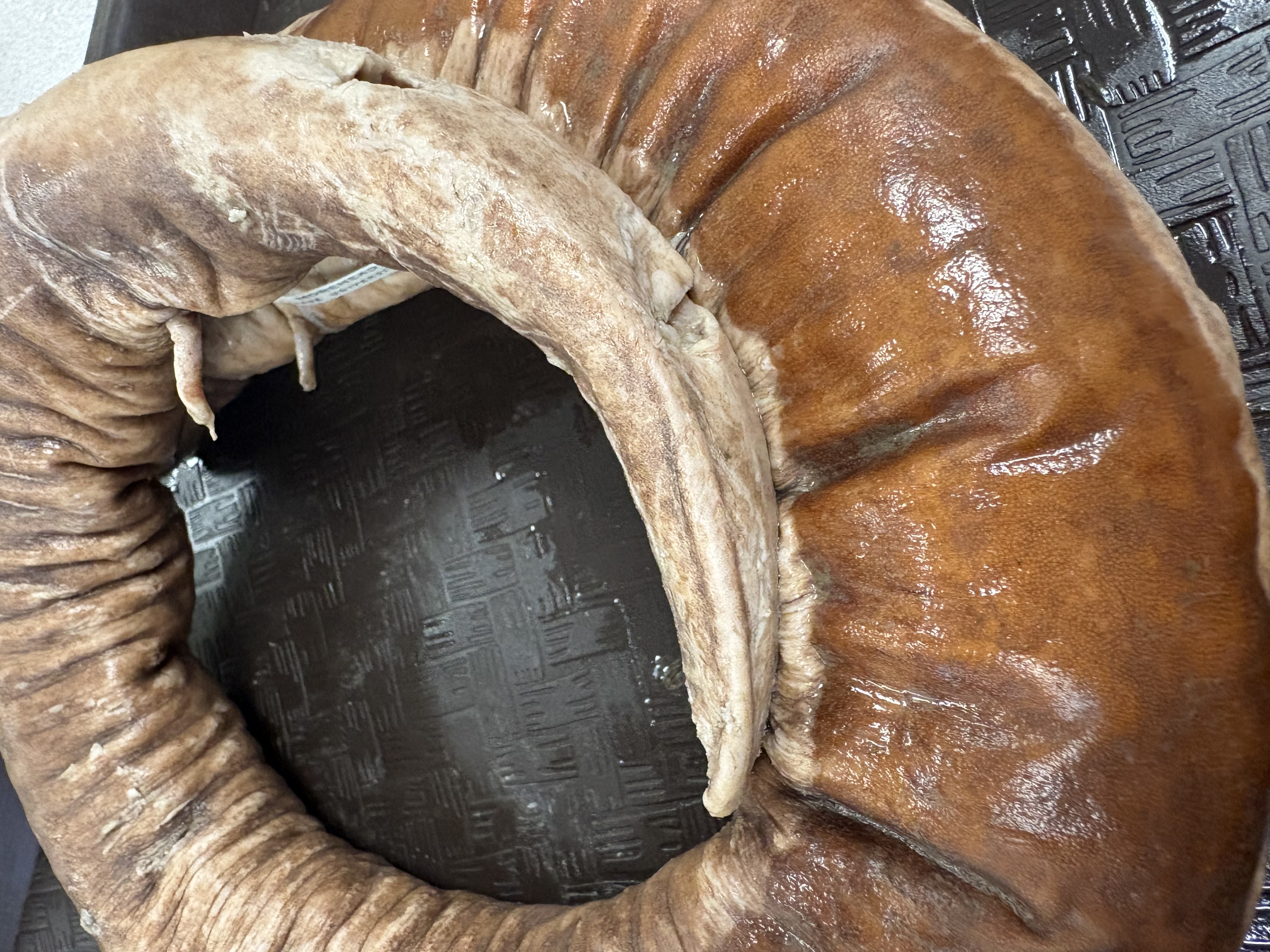 <p>Three digits, only one in ky, SGCN, tiny legs</p>