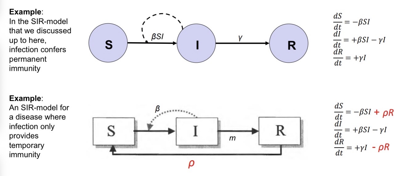 <p><span><span>The model can be extended by adding (or removing) additional compartments and/or fluxes to match the dynamics of different types of diseases.</span></span></p>