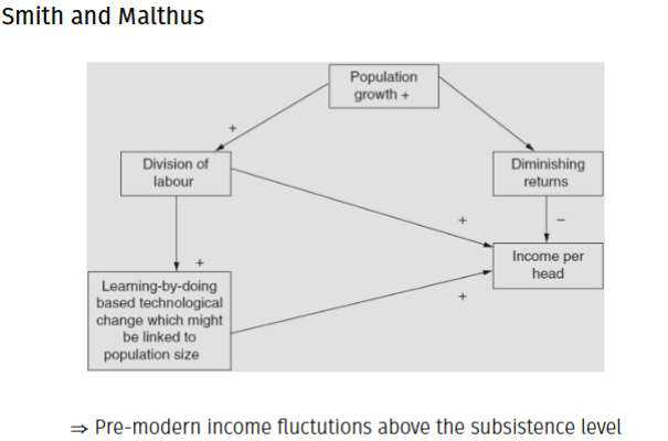 <ul><li><p><span>Smith: Population growth is useful for the division of labor, and learning-by-doing technological advancements which improves per capita incomes</span></p></li><li><p><span>Malthus: Population growth lowers per capita income, since a growing population has to divide the same limited resources, decreasing the amount each person can access.</span></p></li></ul><p></p>