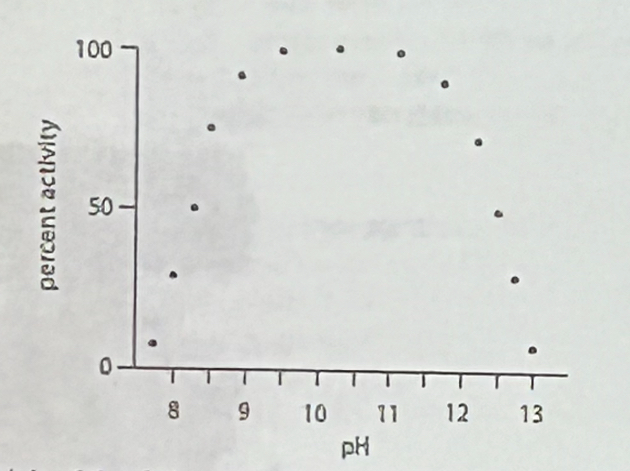 <p>Which of the following statements is consistent with this data:</p><p>a. the enzyme uses Y as a general acid during catalysis</p><p>b. the enzyme uses R as a general base and C as a general acid during catalysis</p><p>c. the enzyme uses K as a general acid and H as a general base during catalysis</p><p>d. the enzyme uses R as a general acid and C as a general base during catalysis </p><p>e. the enzyme uses K as a general base and H as a general acid during catalysis</p>