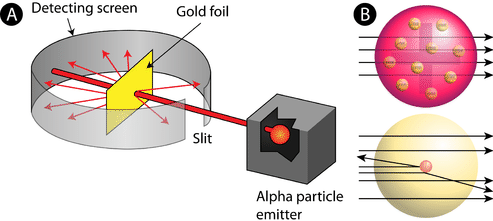 <p>shot alpha particles at gold foil and most went through the foil. Concluded that atom is mostly empty space with a dense, positive nucleus</p>
