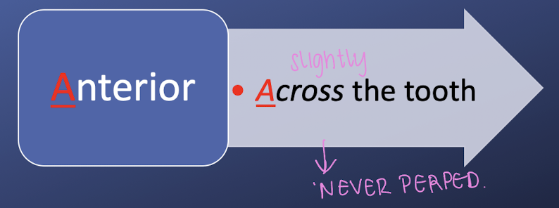 <p>across the tooth </p>