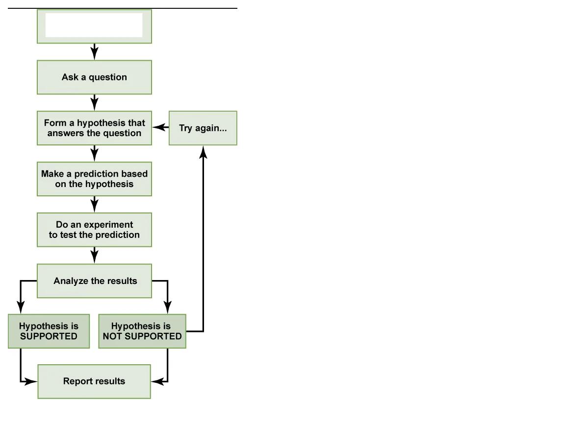 <p>What step is this in the scientific method?</p>