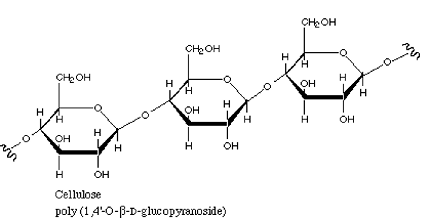 <p>disaccharide, polysaccharide (sucrose, glycogen, starch)</p>