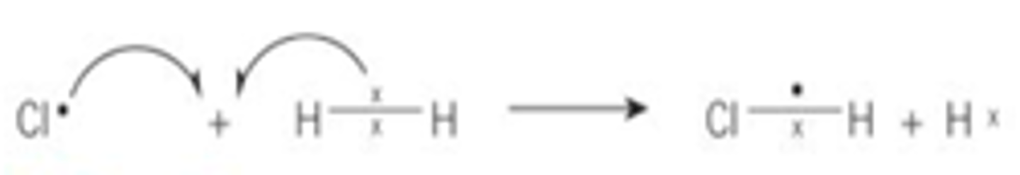 <p>The free radical formed in the initiation reaction then reacts with another molecule forming another new free radical which then reacts with another molecule producing even more radicals. These reactions produce new radicals which keep the reaction going- they propagate the reaction and create a chain reaction.</p>