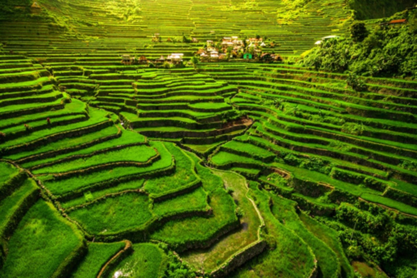<p>wonder of engineering with MASSIVE TOWERING WALLS and skillfully devised irrigation.</p>
