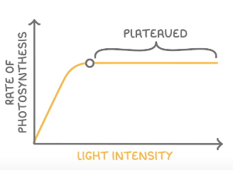 <p>Light Intensity</p>