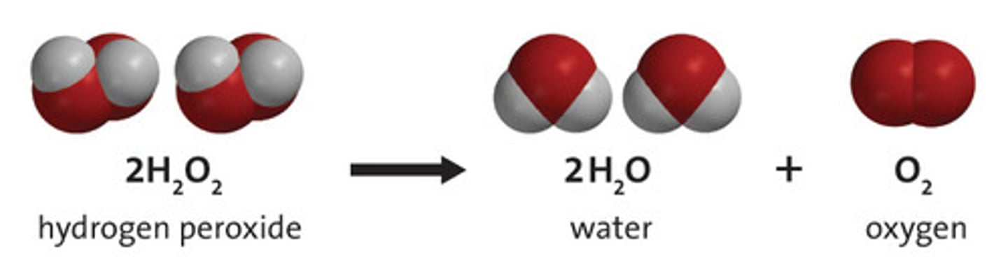 <p>Dark bottles protect exterior light, which can provide activation energy, causing a reaction for hydrogen peroxide to decompose</p><p>MnO2 catalyst</p>