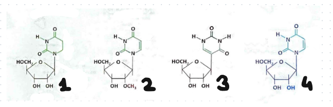 <p>Spośród poniższych typową kombinacją występującą w kwasie nukleinowym jest:</p>