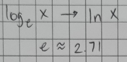 <p>(1) logs with a base of e</p>