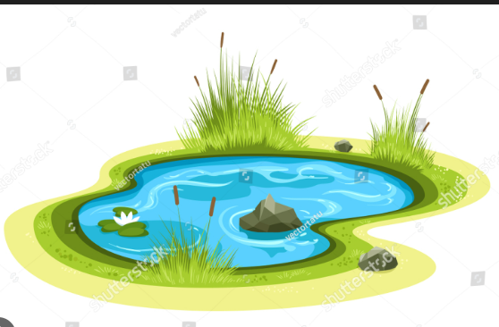<p>fresh water</p>