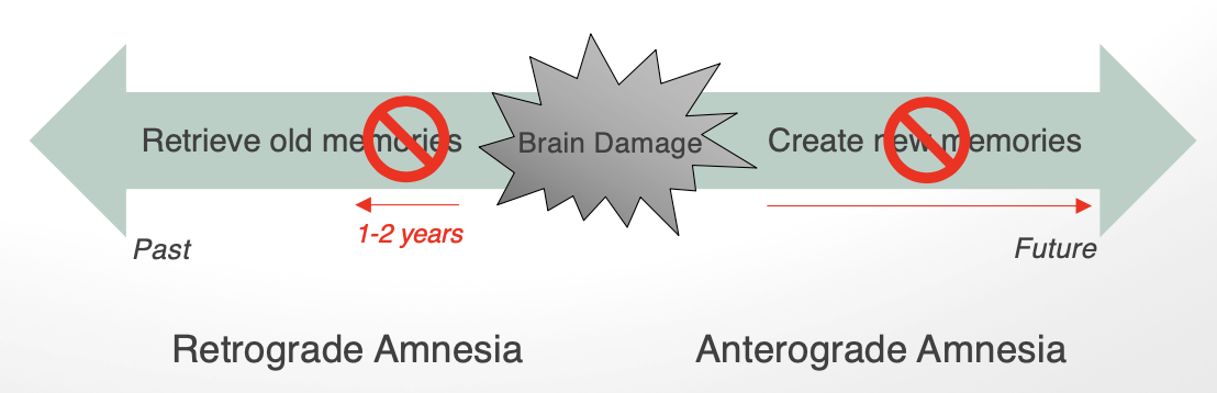 <ul><li><p>severe anterograde</p></li><li><p>moderate retrograde amnesia </p></li></ul><p></p>